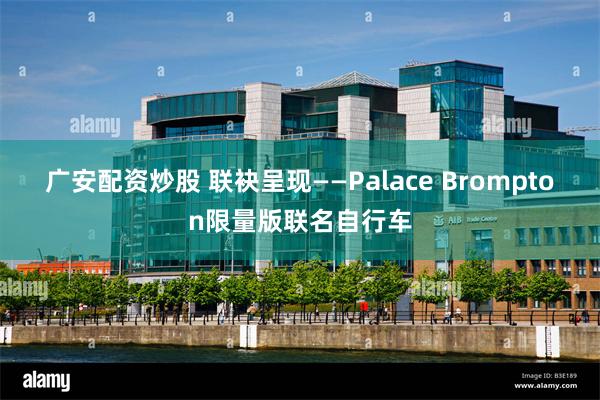 广安配资炒股 联袂呈现——Palace Brompton限量版联名自行车
