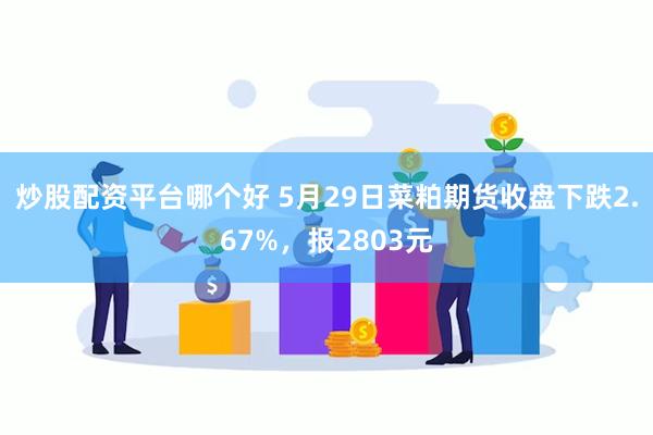 炒股配资平台哪个好 5月29日菜粕期货收盘下跌2.67%，报2803元
