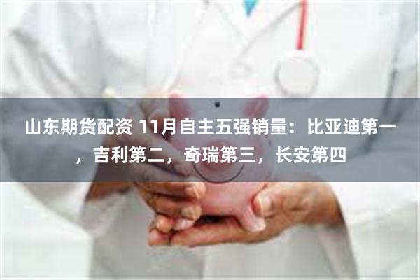 山东期货配资 11月自主五强销量：比亚迪第一，吉利第二，奇瑞第三，长安第四