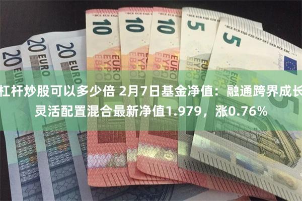 杠杆炒股可以多少倍 2月7日基金净值：融通跨界成长灵活配置混合最新净值1.979，涨0.76%