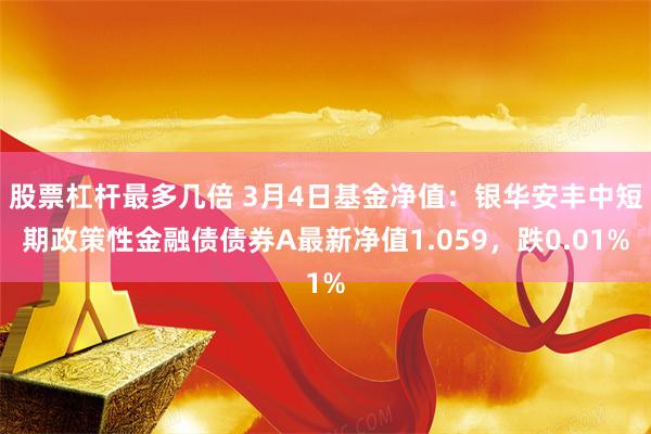 股票杠杆最多几倍 3月4日基金净值：银华安丰中短期政策性金融债债券A最新净值1.059，跌0.01%