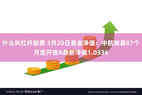 什么叫杠杆股票 3月20日基金净值：中航瑞晨87个月定开债A最新净值1.0336