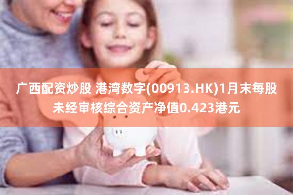 广西配资炒股 港湾数字(00913.HK)1月末每股未经审核综合资产净值0.423港元