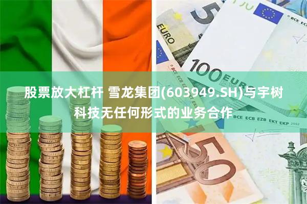 股票放大杠杆 雪龙集团(603949.SH)与宇树科技无任何形式的业务合作