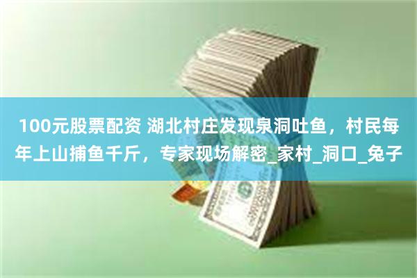 100元股票配资 湖北村庄发现泉洞吐鱼，村民每年上山捕鱼千斤，专家现场解密_家村_洞口_兔子