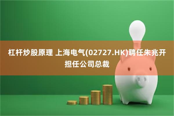 杠杆炒股原理 上海电气(02727.HK)聘任朱兆开担任公司总裁