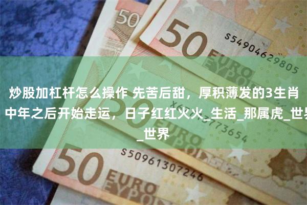 炒股加杠杆怎么操作 先苦后甜，厚积薄发的3生肖，中年之后开始走运，日子红红火火_生活_那属虎_世界