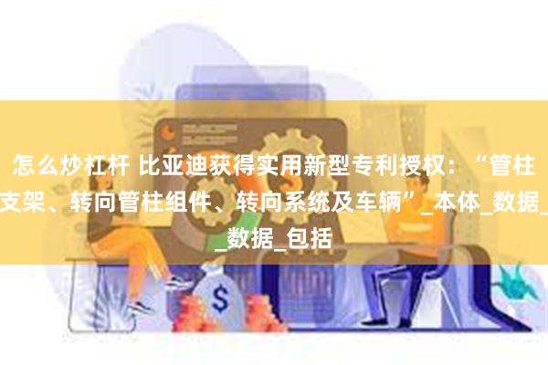 怎么炒杠杆 比亚迪获得实用新型专利授权：“管柱安装支架、转向管柱组件、转向系统及车辆”_本体_数据_包括