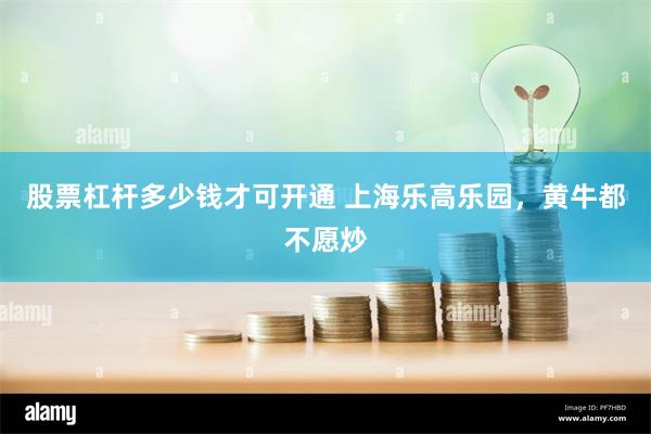 股票杠杆多少钱才可开通 上海乐高乐园，黄牛都不愿炒