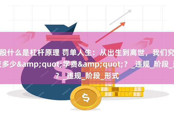 炒股什么是杠杆原理 罚单人生：从出生到离世，我们究竟要交多少&quot;学费&quot;？_违规_阶段_形式
