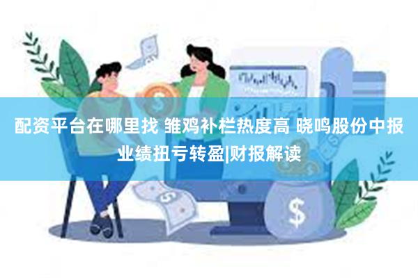 配资平台在哪里找 雏鸡补栏热度高 晓鸣股份中报业绩扭亏转盈|财报解读