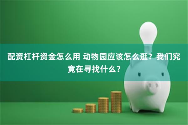 配资杠杆资金怎么用 动物园应该怎么逛?我们究竟在寻找什么?