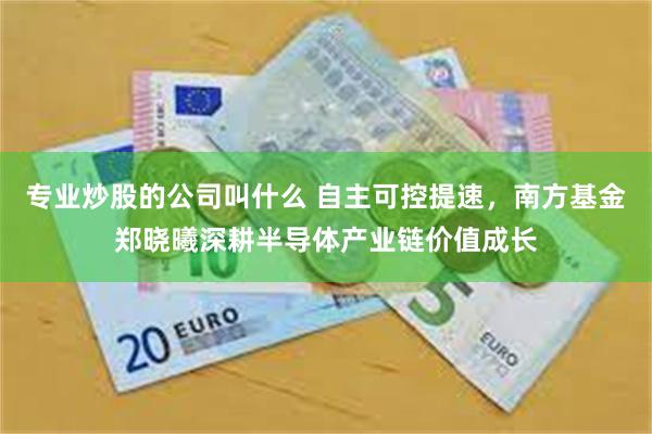 专业炒股的公司叫什么 自主可控提速，南方基金郑晓曦深耕半导体产业链价值成长