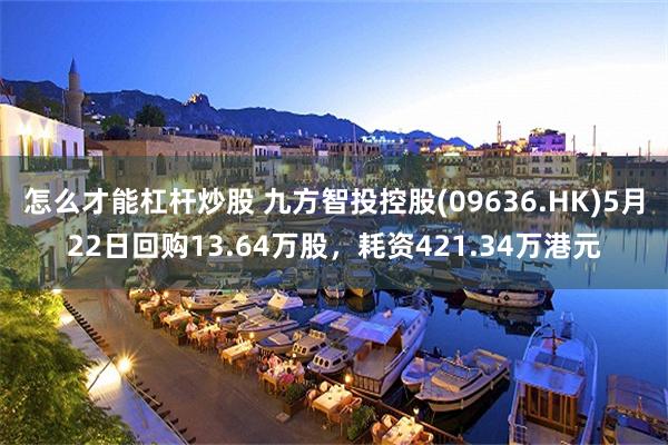 怎么才能杠杆炒股 九方智投控股(09636.HK)5月22日回购13.64万股，耗资421.34万港元