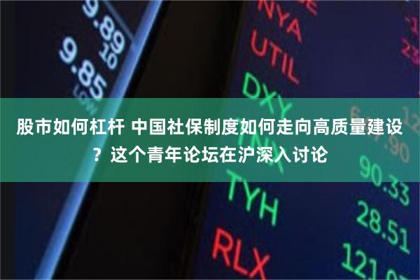 股市如何杠杆 中国社保制度如何走向高质量建设？这个青年论坛在沪深入讨论