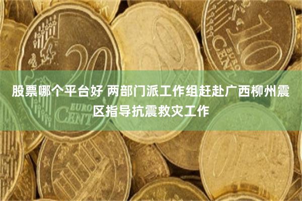 股票哪个平台好 两部门派工作组赶赴广西柳州震区指导抗震救灾工作