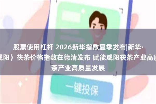 股票使用杠杆 2026新华指数夏季发布|新华·中国(咸阳)茯茶价格指数在德清发布 赋能咸阳茯茶产业高质量发展