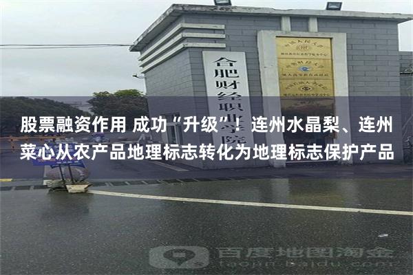 股票融资作用 成功“升级”！连州水晶梨、连州菜心从农产品地理标志转化为地理标志保护产品