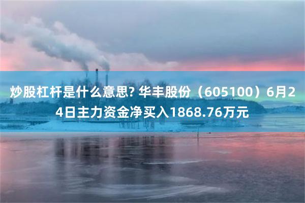 炒股杠杆是什么意思? 华丰股份（605100）6月24日主力资金净买入1868.76万元