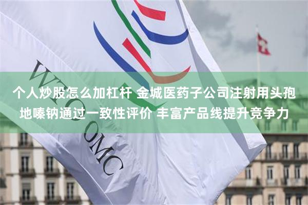 个人炒股怎么加杠杆 金城医药子公司注射用头孢地嗪钠通过一致性评价 丰富产品线提升竞争力