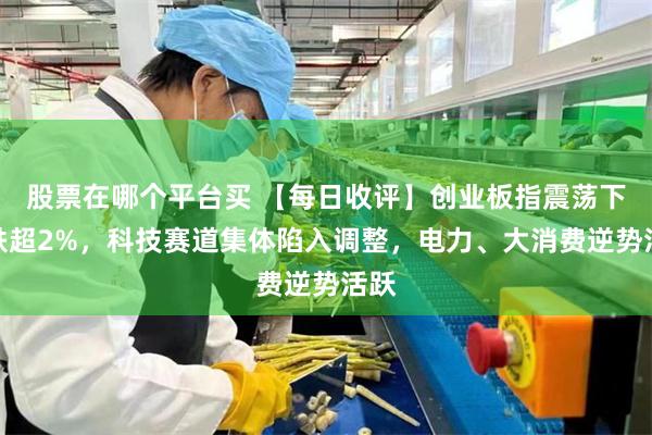 股票在哪个平台买 【每日收评】创业板指震荡下挫跌超2%，科技赛道集体陷入调整，电力、大消费逆势活跃