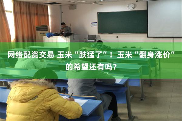 网络配资交易 玉米“跌猛了”！玉米“翻身涨价”的希望还有吗？