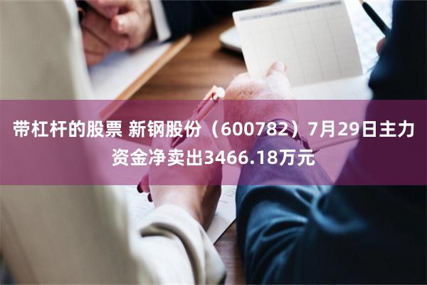 带杠杆的股票 新钢股份（600782）7月29日主力资金净卖出3466.18万元