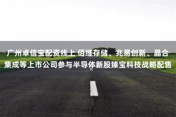 广州卓信宝配资线上 佰维存储、兆易创新、晶合集成等上市公司参与半导体新股臻宝科技战略配售