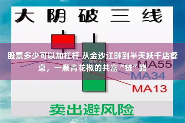 股票多少可以加杠杆 从金沙江畔到半天妖千店餐桌，一颗青花椒的共富“链”路