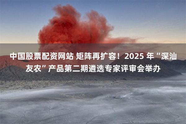 中国股票配资网站 矩阵再扩容！2025 年“深汕友农”产品第二期遴选专家评审会举办