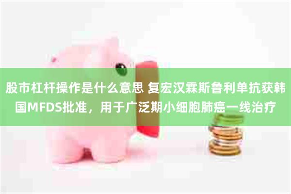 股市杠杆操作是什么意思 复宏汉霖斯鲁利单抗获韩国MFDS批准，用于广泛期小细胞肺癌一线治疗