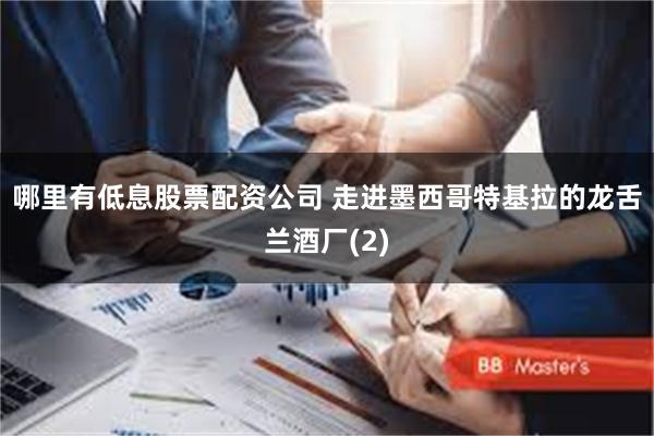哪里有低息股票配资公司 走进墨西哥特基拉的龙舌兰酒厂(2)