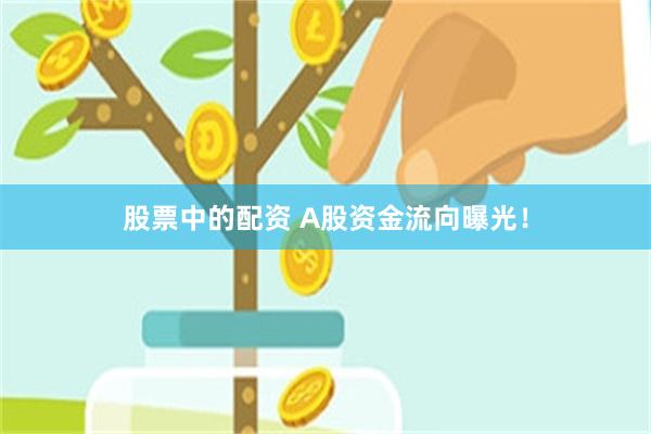 股票中的配资 A股资金流向曝光!