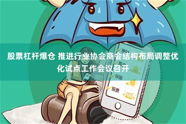 股票杠杆爆仓 推进行业协会商会结构布局调整优化试点工作会议召开