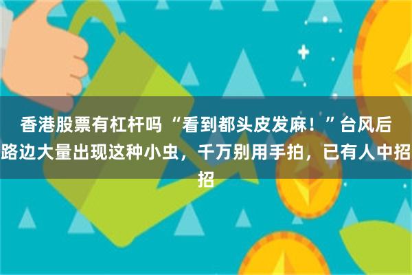 香港股票有杠杆吗 “看到都头皮发麻！”台风后路边大量出现这种小虫，千万别用手拍，已有人中招