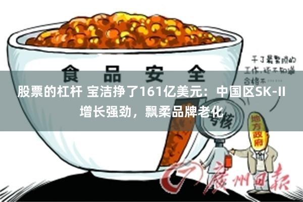 股票的杠杆 宝洁挣了161亿美元:中国区SK-II增长强劲,飘柔品牌老化