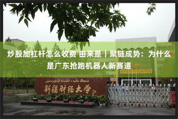 炒股加杠杆怎么收费 由来是｜聚链成势：为什么是广东抢跑机器人新赛道