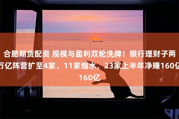合肥期货配资 规模与盈利双轮洗牌！银行理财子两万亿阵营扩至4家、11家缩水，23家上半年净赚160亿