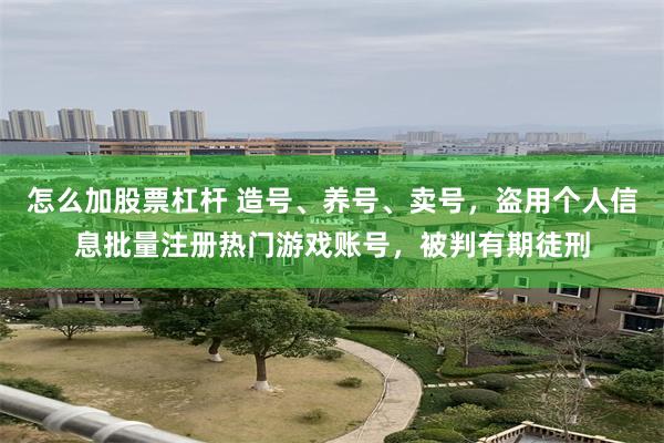 怎么加股票杠杆 造号、养号、卖号，盗用个人信息批量注册热门游戏账号，被判有期徒刑