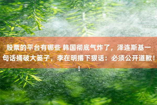 股票的平台有哪些 韩国彻底气炸了，泽连斯基一句话捅破大篓子，李在明撂下狠话：必须公开道歉！