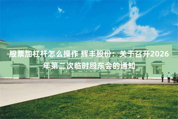 股票加杠杆怎么操作 辉丰股份：关于召开2026年第二次临时股东会的通知