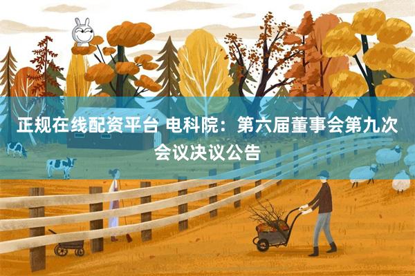 正规在线配资平台 电科院：第六届董事会第九次会议决议公告