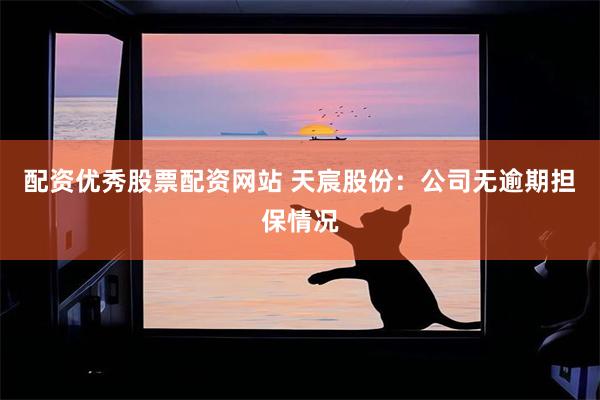 配资优秀股票配资网站 天宸股份：公司无逾期担保情况