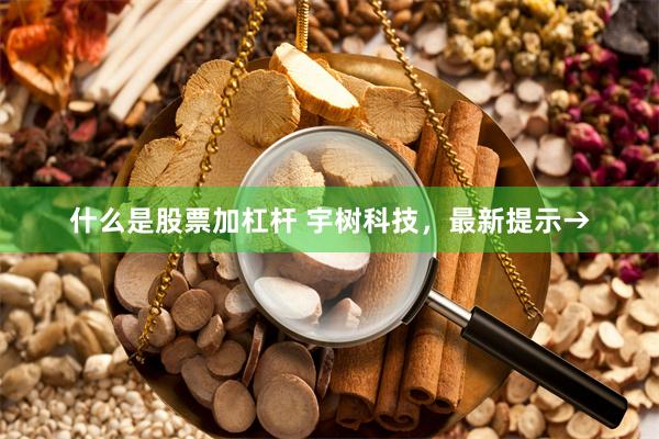 什么是股票加杠杆 宇树科技，最新提示→