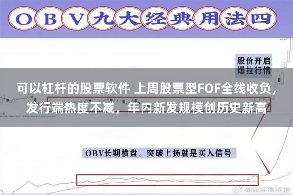 可以杠杆的股票软件 上周股票型FOF全线收负，发行端热度不减，年内新发规模创历史新高